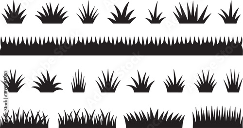 Collection of various grass silhouettes and blades on white background