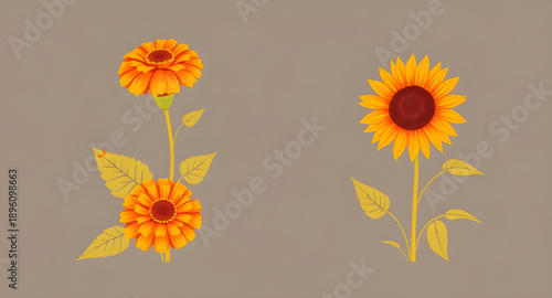 sunflower, flower, bloom, blossom, yellow, petal, seed, pollen, floral, plant, nature, garden, summer, sunny, bright, cheerful, vibrant, fresh, natural, organic, botanical, agriculture, field, farm, g