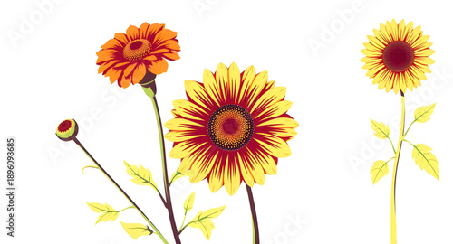 sunflower, flower, bloom, blossom, yellow, petal, seed, pollen, floral, plant, nature, garden, summer, sunny, bright, cheerful, vibrant, fresh, natural, organic, botanical, agriculture, field, farm, g