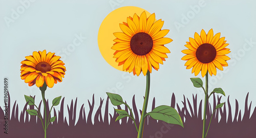sunflower, flower, bloom, blossom, yellow, petal, seed, pollen, floral, plant, nature, garden, summer, sunny, bright, cheerful, vibrant, fresh, natural, organic, botanical, agriculture, field, farm, g