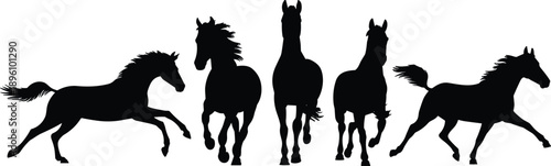Horse silhouette set with running galloping and front view poses isolated on white background dynamic equine motion collection
