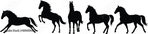 Horse silhouette set with running rearing and standing poses isolated on white background dynamic equine motion collection