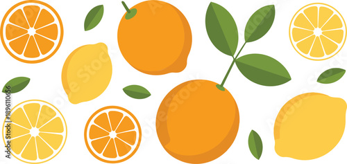 Fresh Citrus Fruits Vector Illustration  Oranges and Lemons with Slices and Leaves