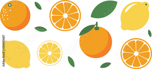 Fresh Citrus Fruits Vector Illustration  Oranges and Lemons with Slices and Leaves