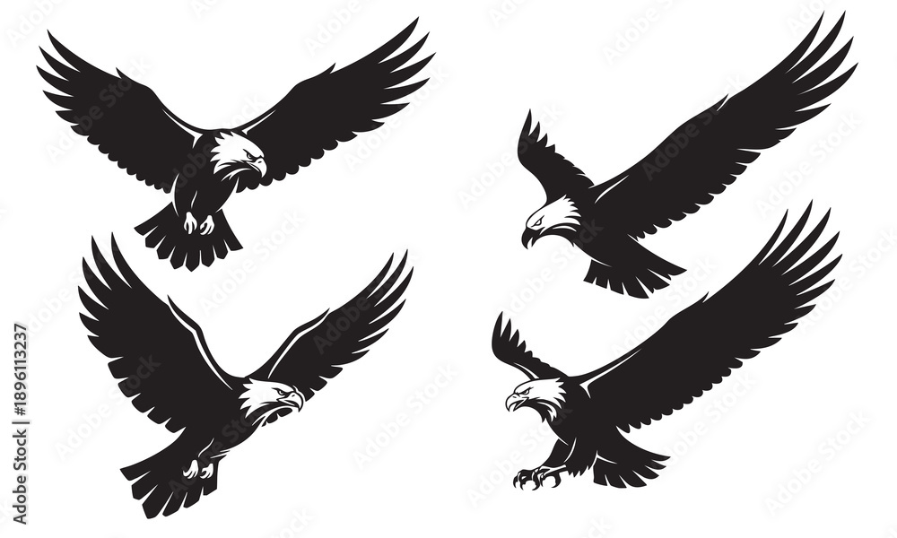 Obraz premium Flying Eagle Silhouettes Set