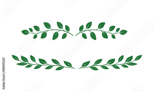 Botanical Leaf Divider Illustration