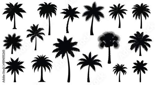 Collection of various palm tree silhouettes on a white background.