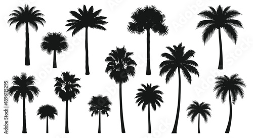 Silhouettes of various tropical palm trees on a white background.