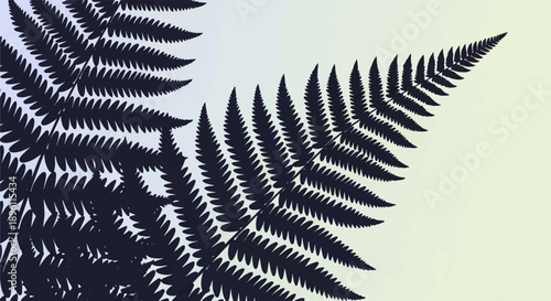 Dark fern fronds overlap against a pale, gradient background