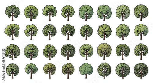 Diverse collection of green trees in various shapes and sizes.
