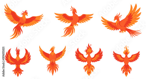 Illustrations of birds in various fiery poses and flying positions