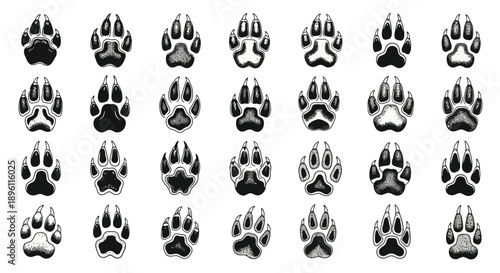 Collection of various animal paw prints in black and white.
