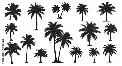 Diverse collection of palm tree silhouettes showcasing various tropical plant forms.