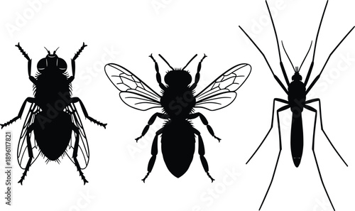 Insect silhouettes collection featuring fly, bee and mosquito isolated on white background, detailed black vector shapes for biology, pest control, science and nature concepts