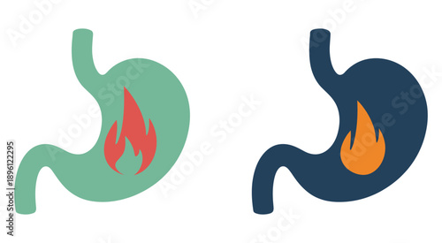 Human stomach illustration showing inflammation and heartburn with internal fire, digestive system concept, medical health visualization