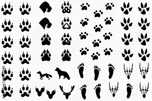 Collection of animal footprints and silhouettes in black and white