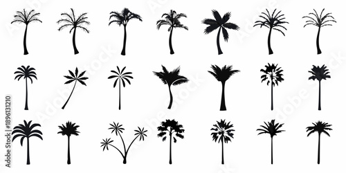 Collection of silhouetted palm trees in varying shapes and sizes