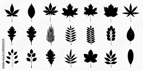 Variety of leaf silhouettes arranged in a grid pattern