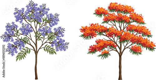Colorful flowering tree illustration set, blue and orange blossom botanical trees with branches leaves isolated on white background
