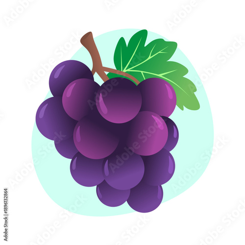 bunch of grapes vector illustration