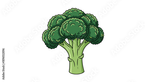 Illustration of a single head of fresh green broccoli on a white background, ideal for healthy eating, vegetarianism, or food-related art.