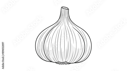 Hand-drawn black and white sketch of a whole garlic bulb on a white background, perfect for culinary, cooking, or grocery store themes.