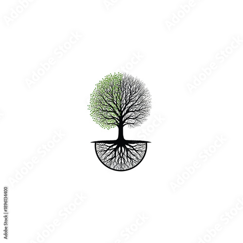 Tree half green with leaves, half bare branches, with extensive roots below