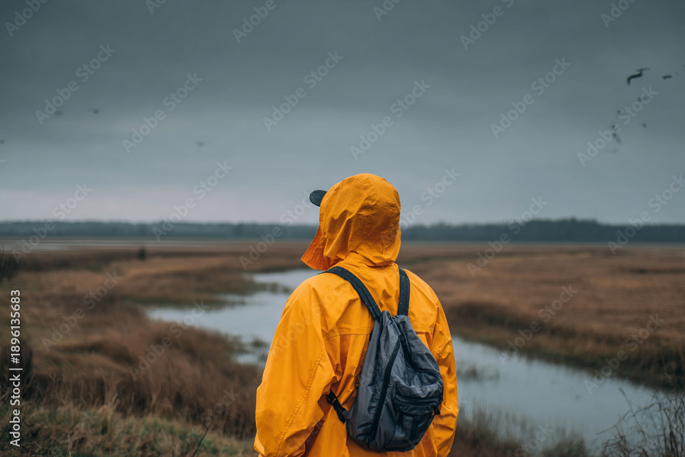 Fototapeta premium Ornithologist standing near wetlands observing birds, copy space, natural landscape.