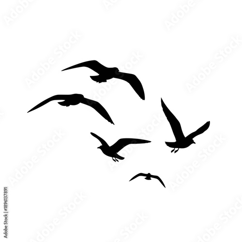 Silhouette of a Flock of Birds Flying in the Sky