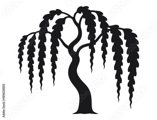 A Black and White of a Weeping Willow Tree with Long Hanging Branches silhouette