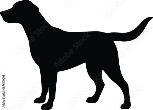 Silhouette of a dog s hindquarters against a white background