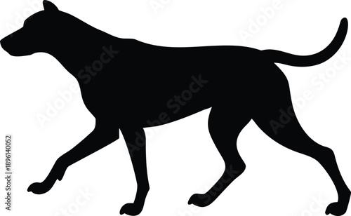 Silhouette of a greyhound in mid stride running or leaping forward