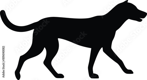 Silhouette of a panther in motion showcasing its sleek form