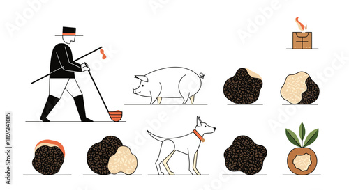 Truffle hunting illustration set featuring a person with a stick, a pig, a dog, and various whole and sliced black truffle mushrooms.