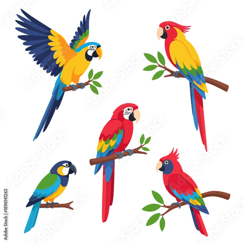 Adobe Illustrator Artwork