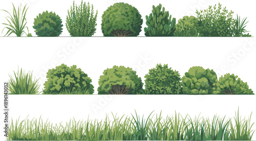 A collection of various green bushes and grasses in different shapes and sizes arranged in three horizontal rows on a white background