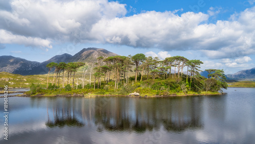 Pine Island reflected in water in Connemara, Galway, Ireland. Compact tree covered islet surrounded by glassy lake surface. Soft cloud sky and distant hills. Sense of quiet refuge ideal for meditation