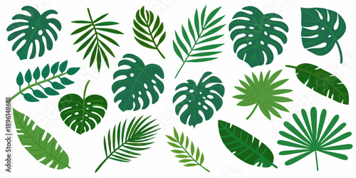 Assorted tropical leaves in varying shades of green isolated on white
