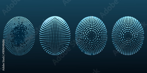 Four stages of fingerprint development visualized with circular patterns