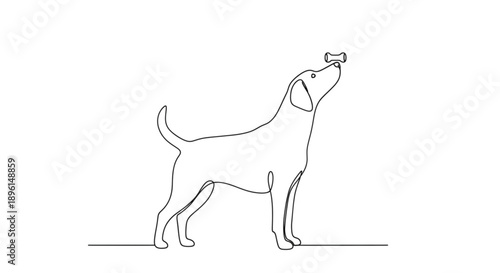 Dog balancing treat on nose in minimalist line art style  