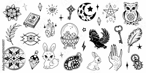 A collection of whimsical black and white mystical and botanical illustrations