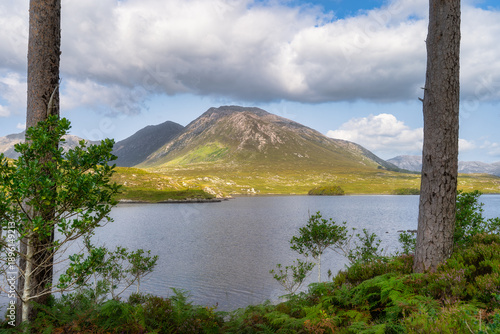 Mountain vista framed by tree trunks in Connemara, Galway, Ireland. Calm loch foreground with textured undergrowth and moss. Soft cloud cover, natural frame creates intimate viewpoint