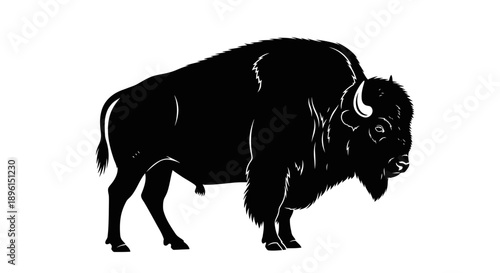 Black bison silhouette vector illustration