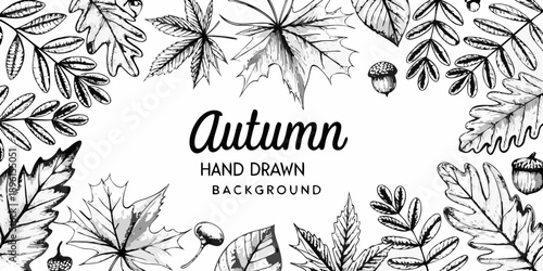 Detailed botanical illustration of autumn leaves and acorns in black and white