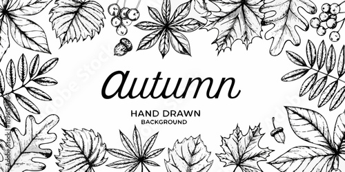 Vintage autumn floral illustration with hand lettered text and botanical details