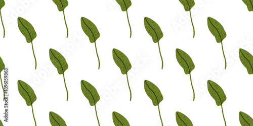 Spring sorrel leaf botanical pattern with fresh green foliage. Natural plant motif for packaging, textiles, stationery, wallpapers, eco design and seasonal backgrounds.