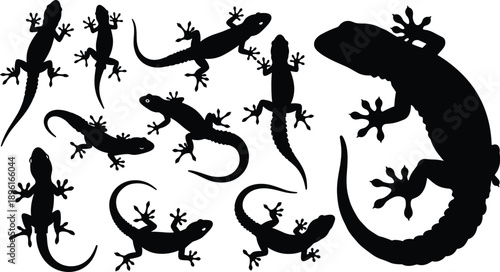 Gecko lizard silhouette collection, black reptile shapes, tropical animal illustration set, isolated wildlife design on white background