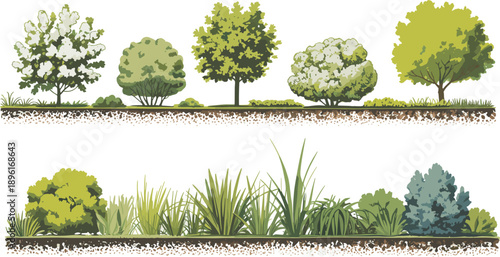 Artistic cross-section of garden soil displaying plant roots alongside a vibrant arrangement of trees, flowering bushes, and various types of grasses