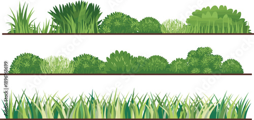 A vibrant display of various green grasses and bushy shrubs in distinct horizontal groupings on a clean white background