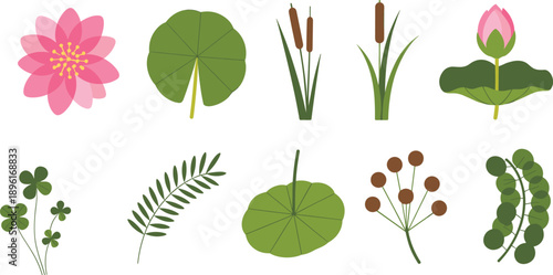 Assortment of flat aquatic flora and botanical featuring a pink lotus flower lily pads cattails and clover
